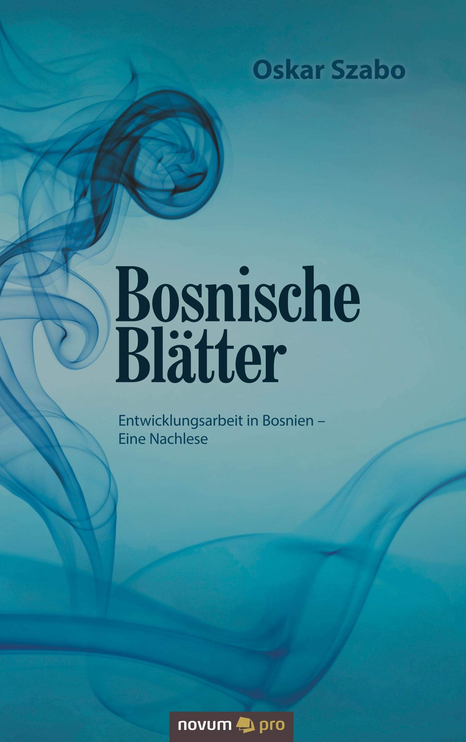 Bosnische Blätter: Entwicklungsarbeit in Bosnien - Eine Nachlese Contemporary literature