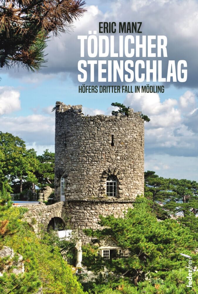 Tödlicher Steinschlag Contemporary literature Books