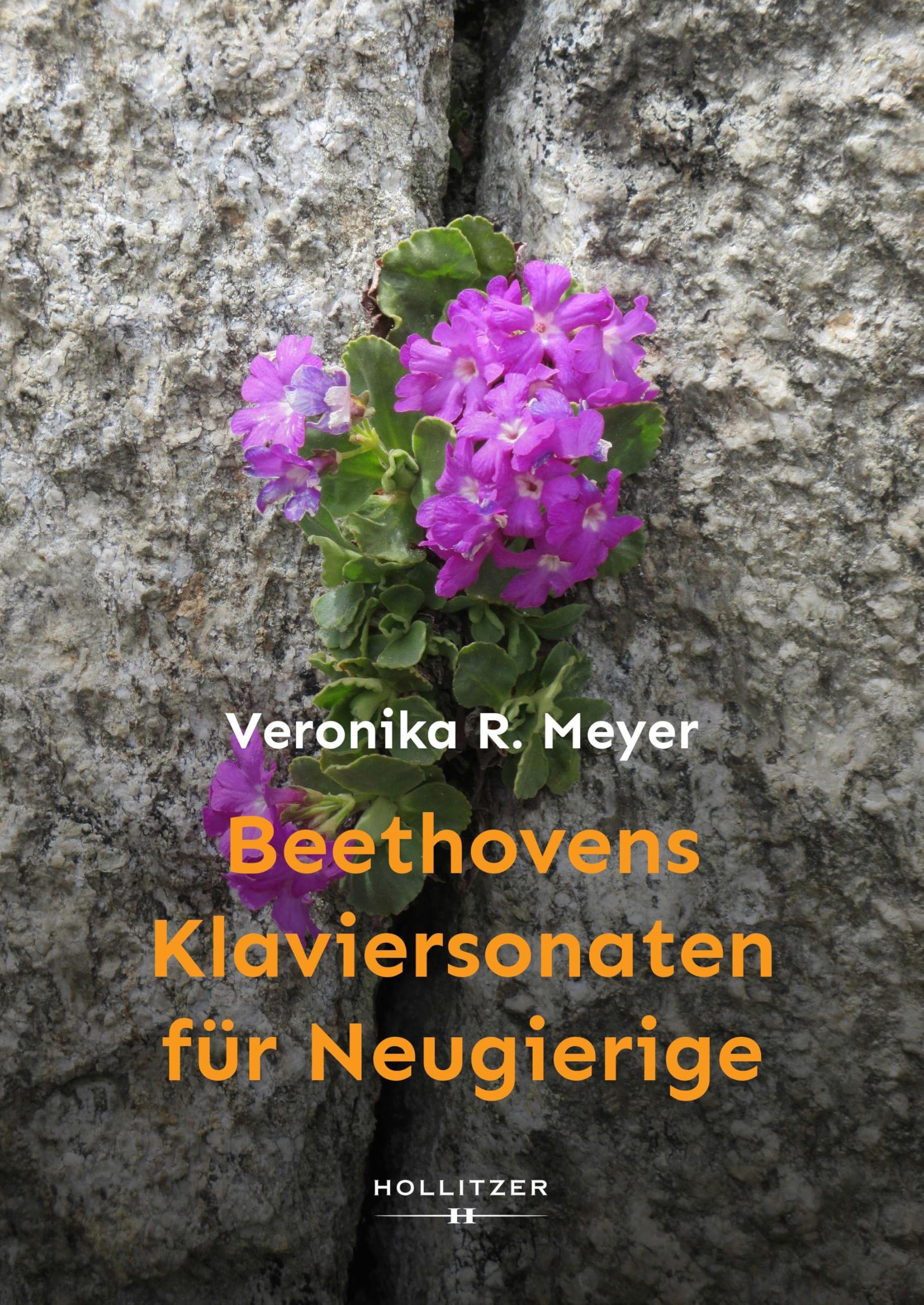 Beethovens Klaviersonaten für Neugierige Arts & Music