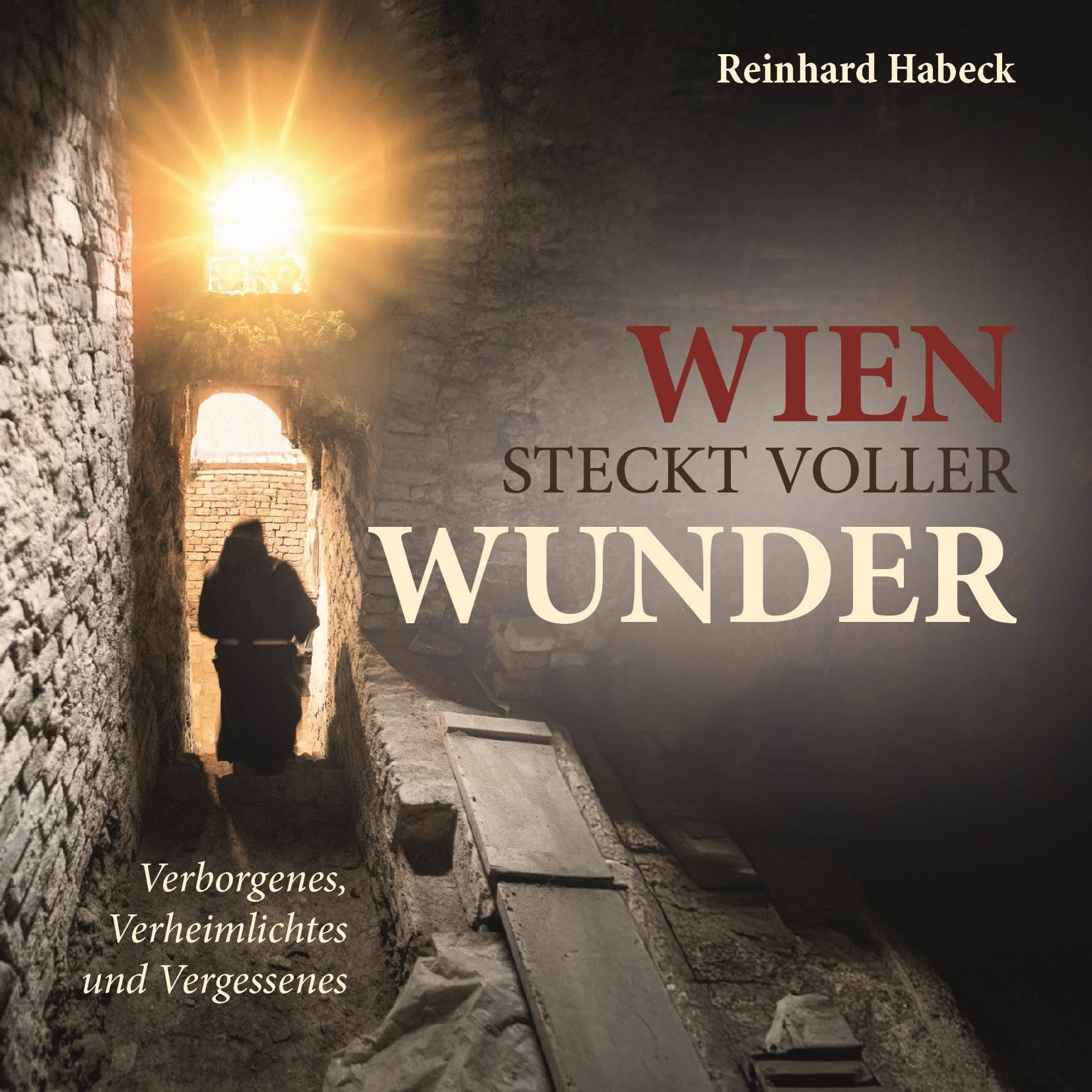 Wien steckt voller Wunder Books