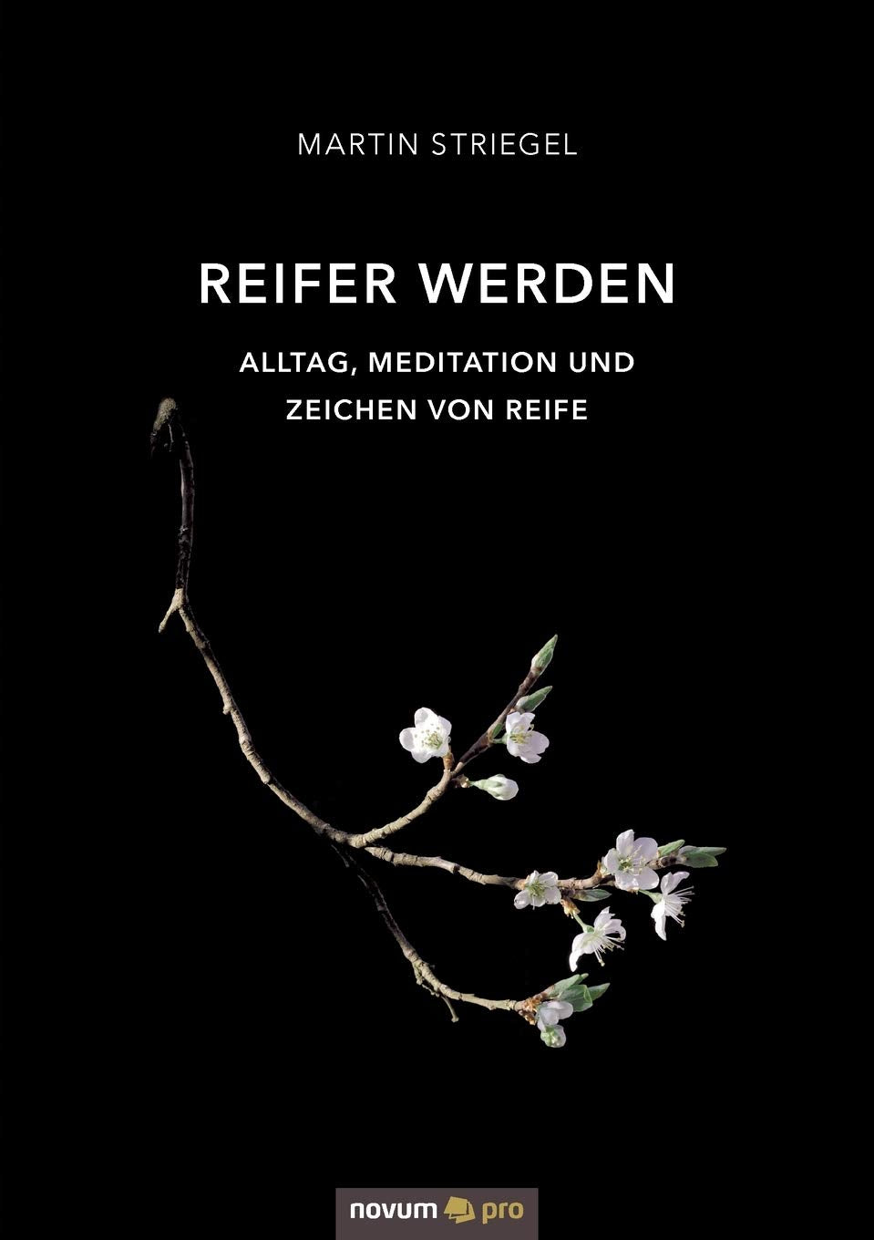 Reifer werden: Alltag, Meditation und Zeichen von Reife Contemporary literature