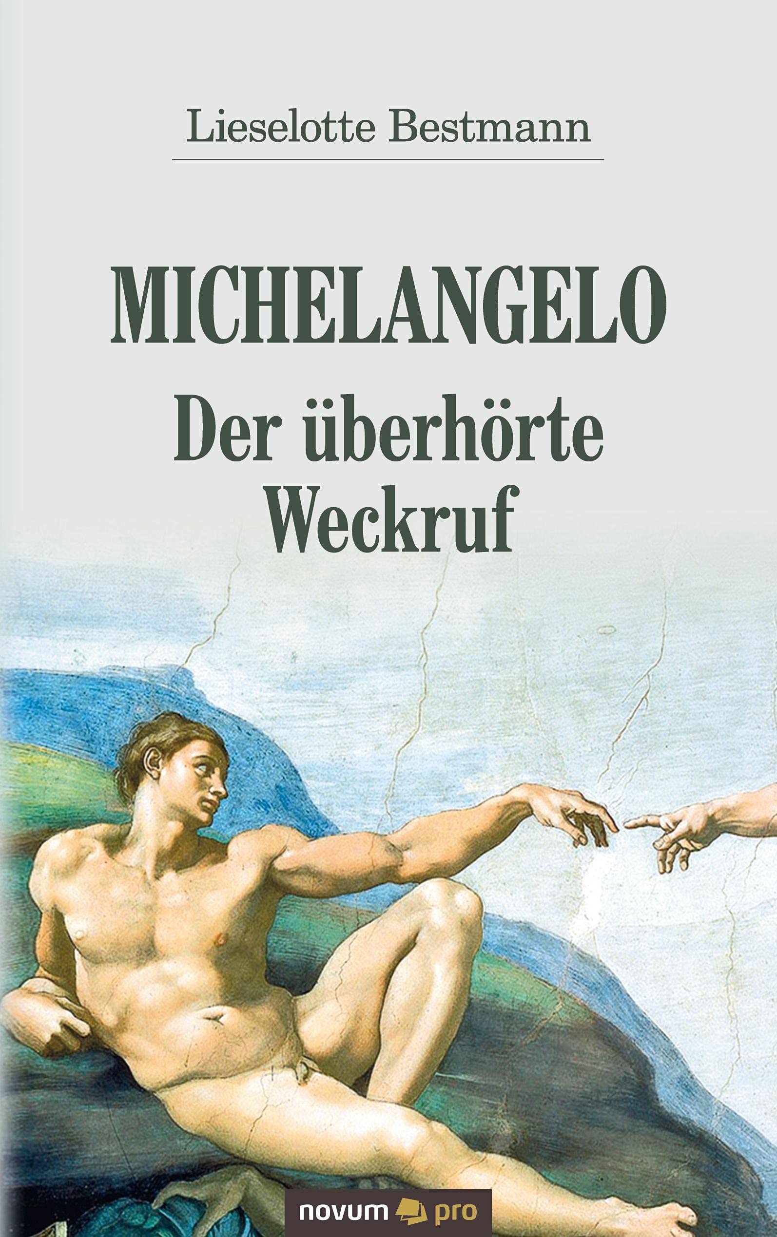 Michelangelo - Der überhörte Weckruf Contemporary literature