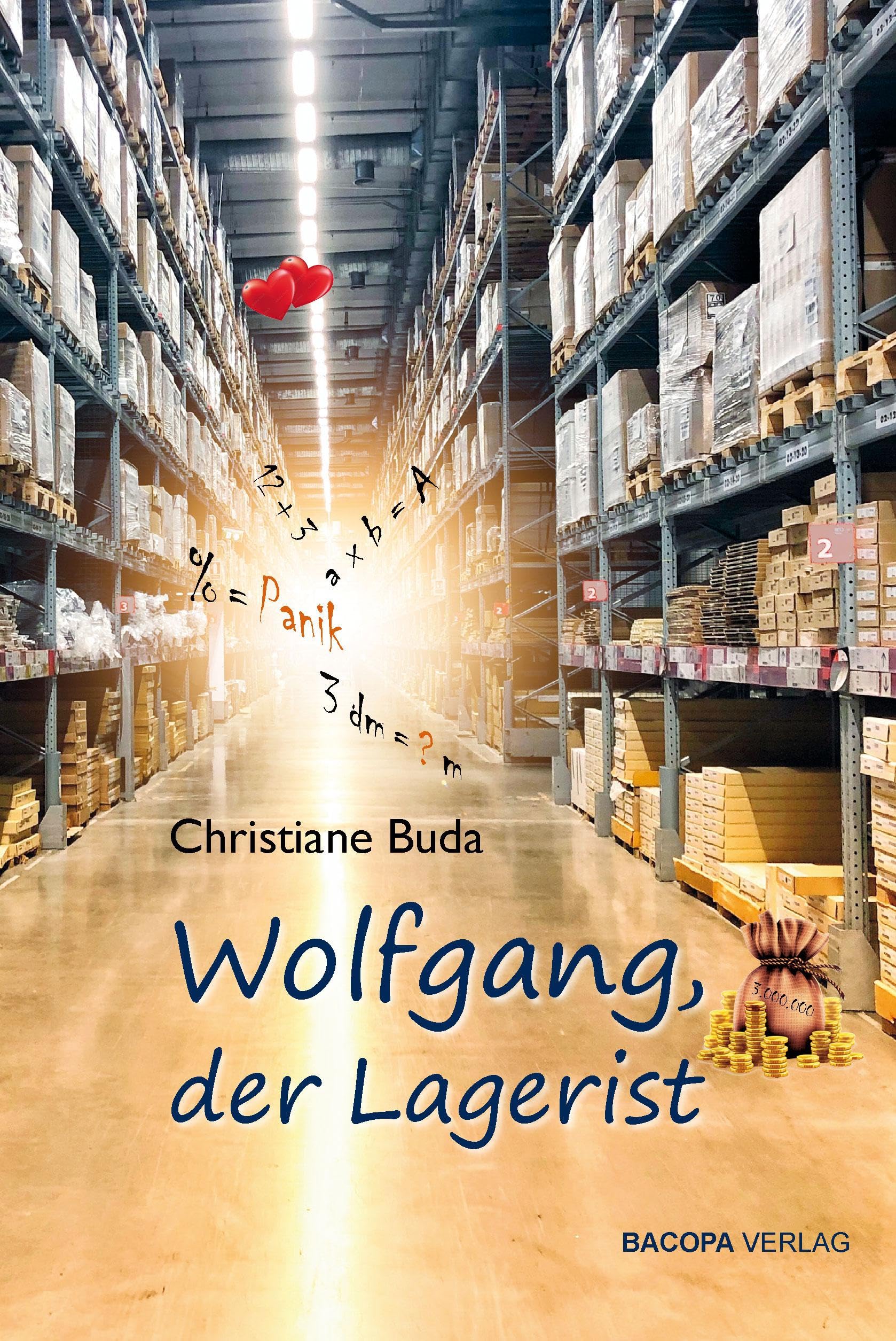 Wolfgang, der Lagerist.: Jugendroman Contemporary literature