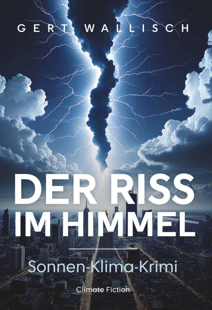 Der Riss im Himmel Contemporary literature Books