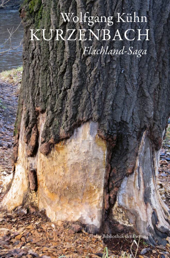 Kurzenbach: Flachland-Saga Contemporary literature