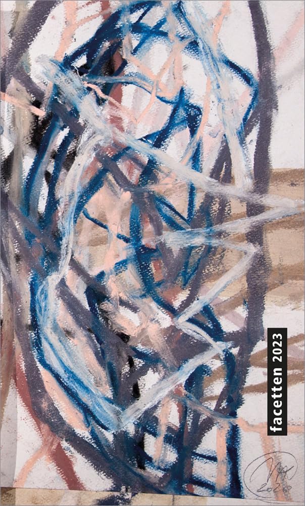 Facetten 2023: Literarisches Jahrbuch der Stadt Linz (edition linz) Contemporary literature