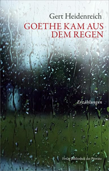 Goethe kam aus dem Regen: Erzählungen Essays & Short Stories