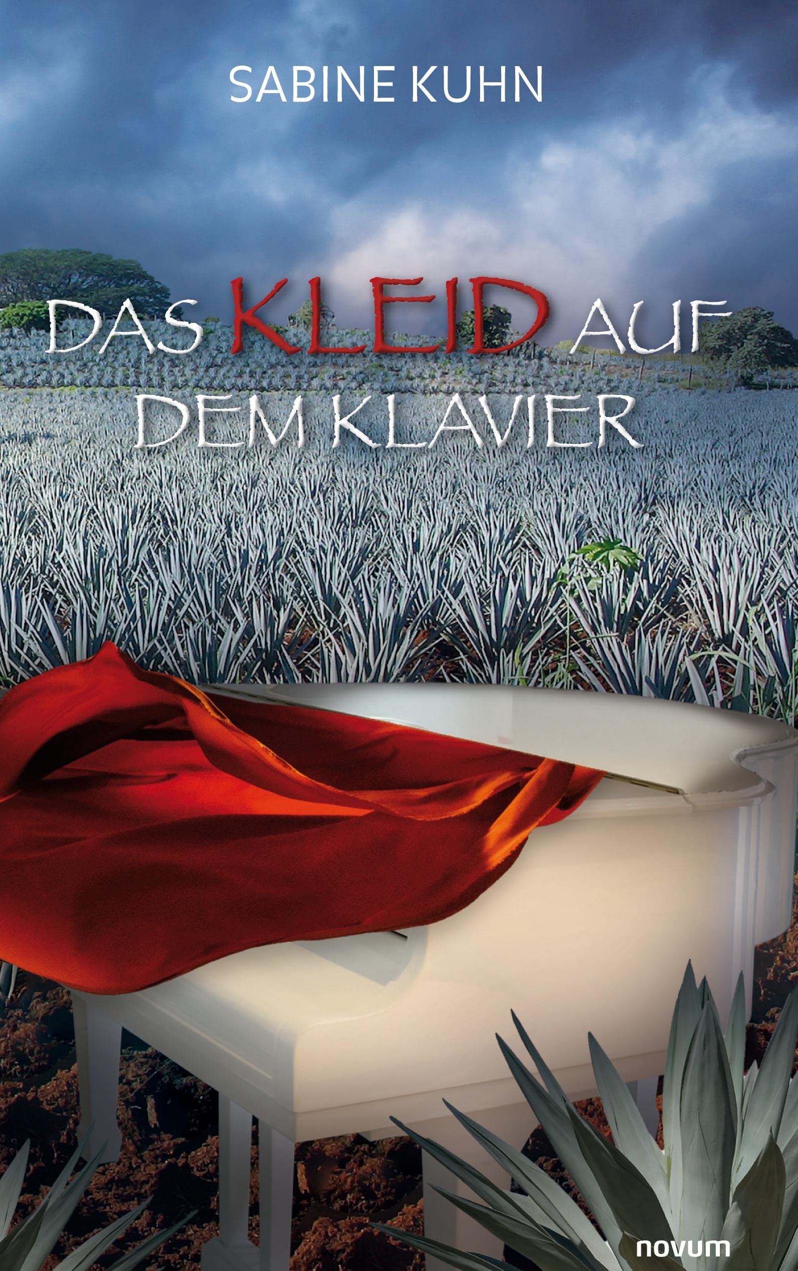 Das Kleid auf dem Klavier Contemporary literature