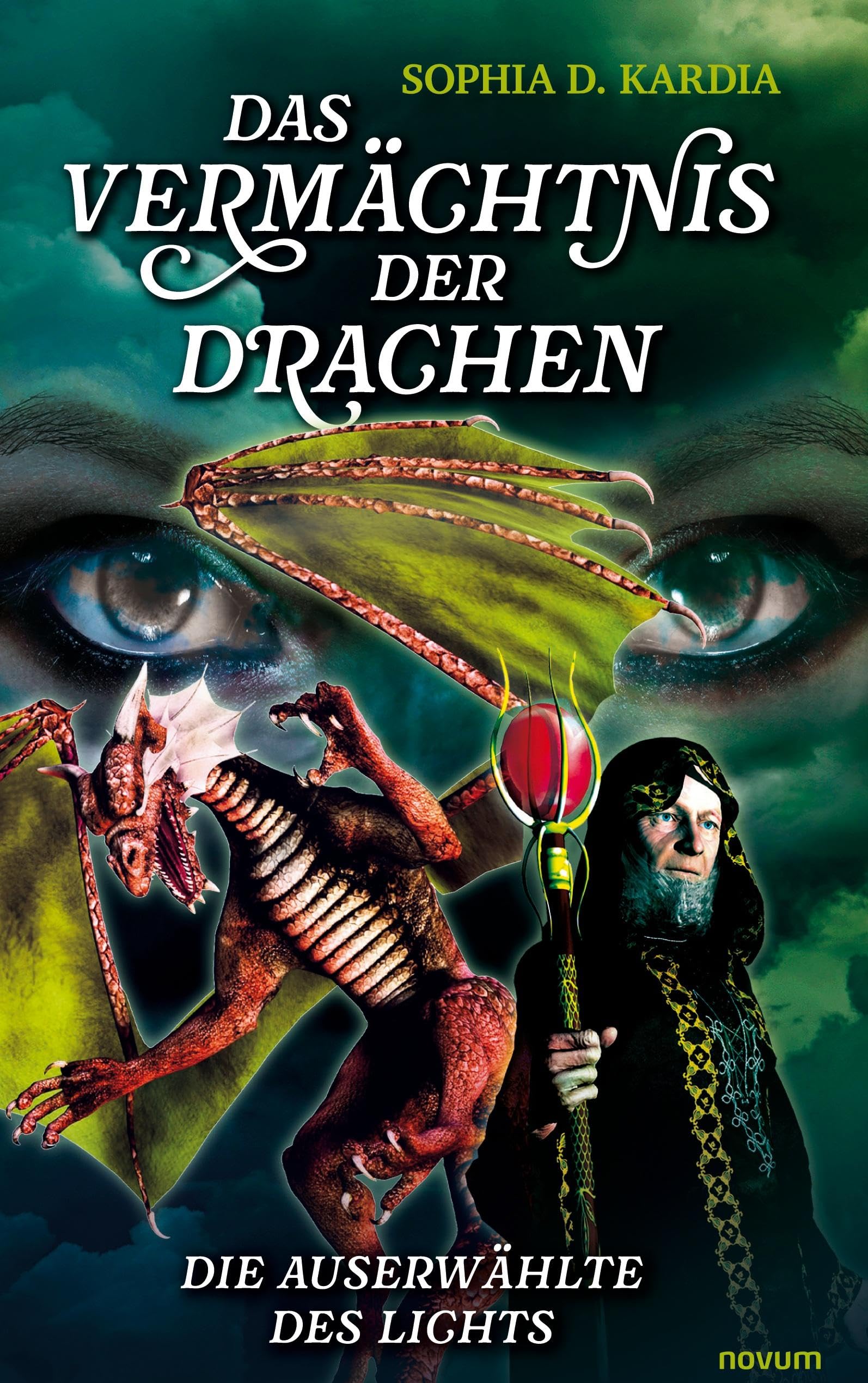 Das Vermächtnis der Drachen: Die Auserwählte des Lichts Contemporary literature