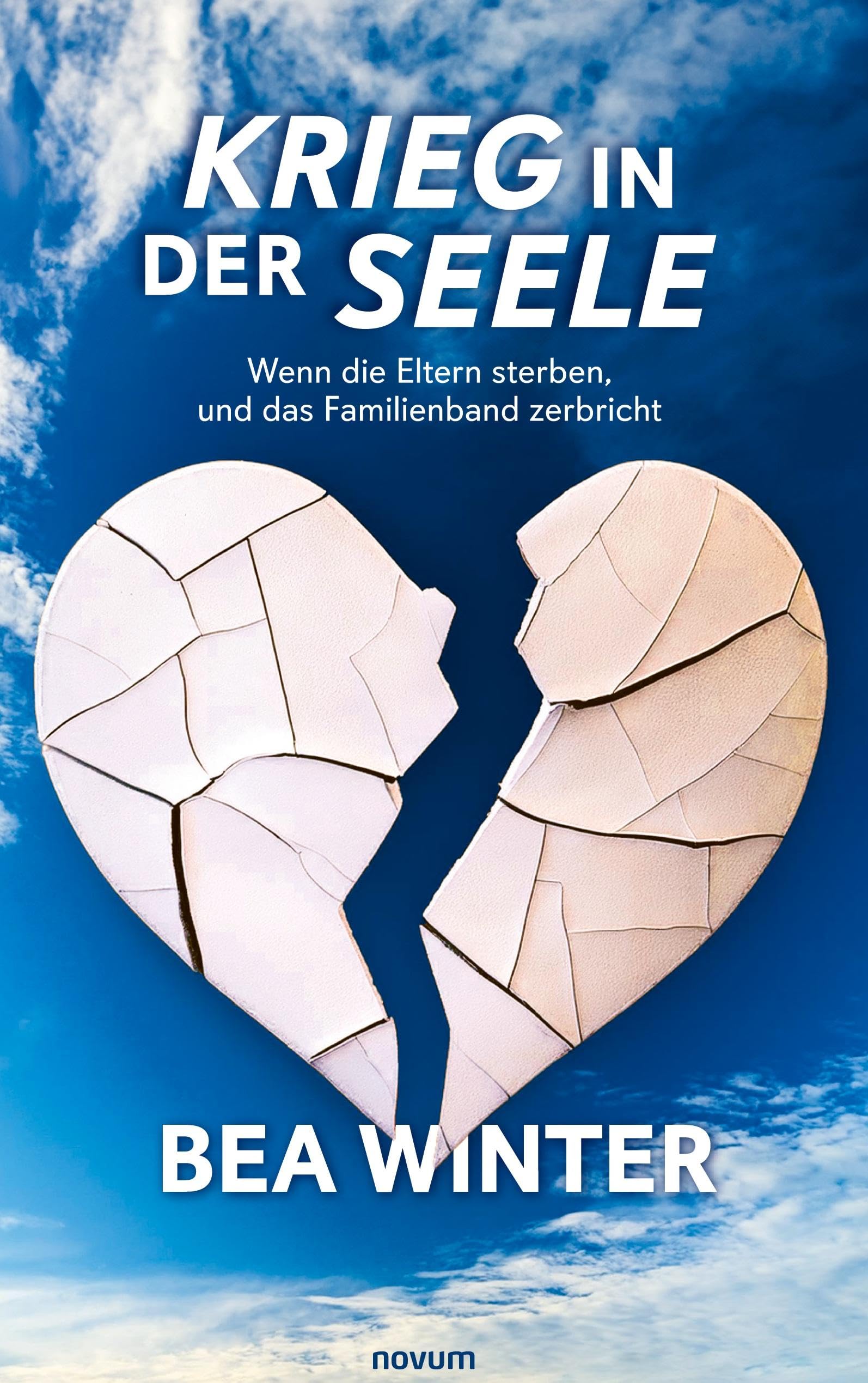 Product Image: Krieg in der Seele