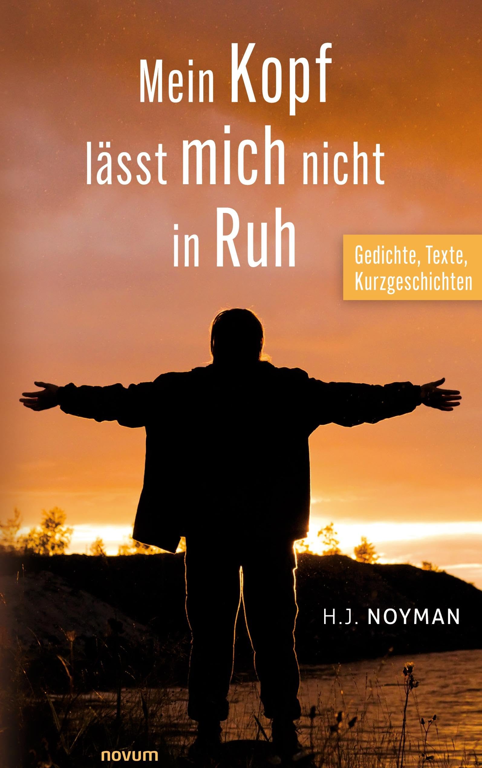 Mein Kopf lässt mich nicht in Ruh Contemporary literature