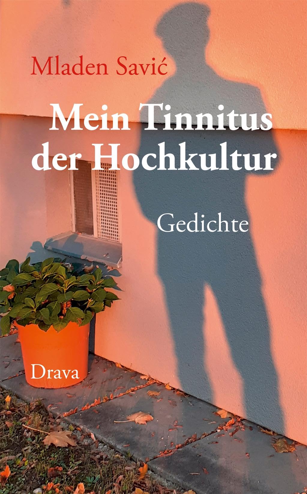 Mein Tinnitus der Hochkultur Poetry