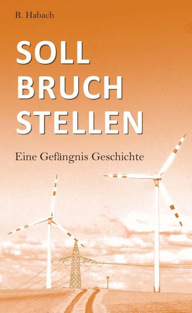 Sollbruchstellen: Eine Gefängnis Geschichte Contemporary literature