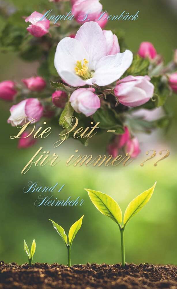 Die Zeit für immer Band 1: Heimkehr Contemporary literature