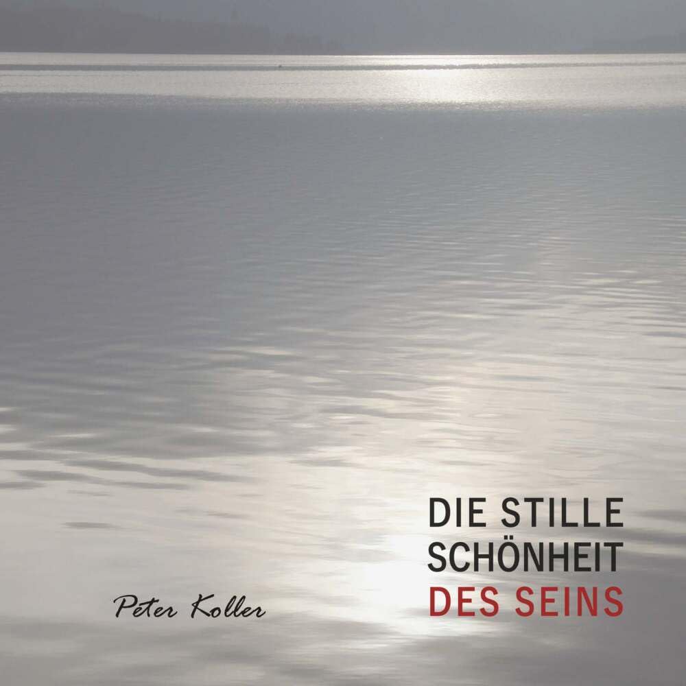 DIE STILLE SCHÖNHEIT DES SEINS Humour & Satire