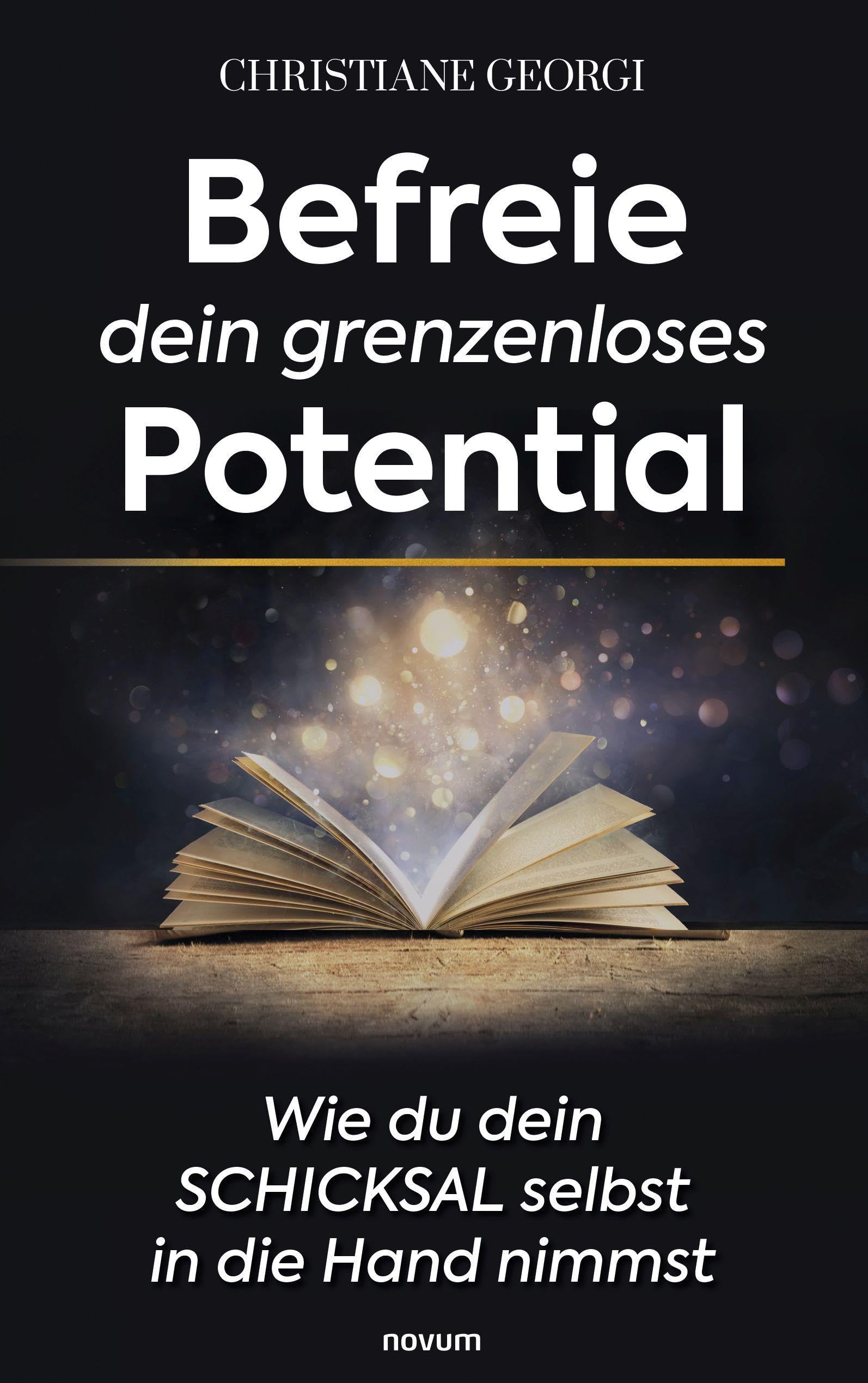 Befreie dein grenzenloses Potential Contemporary literature
