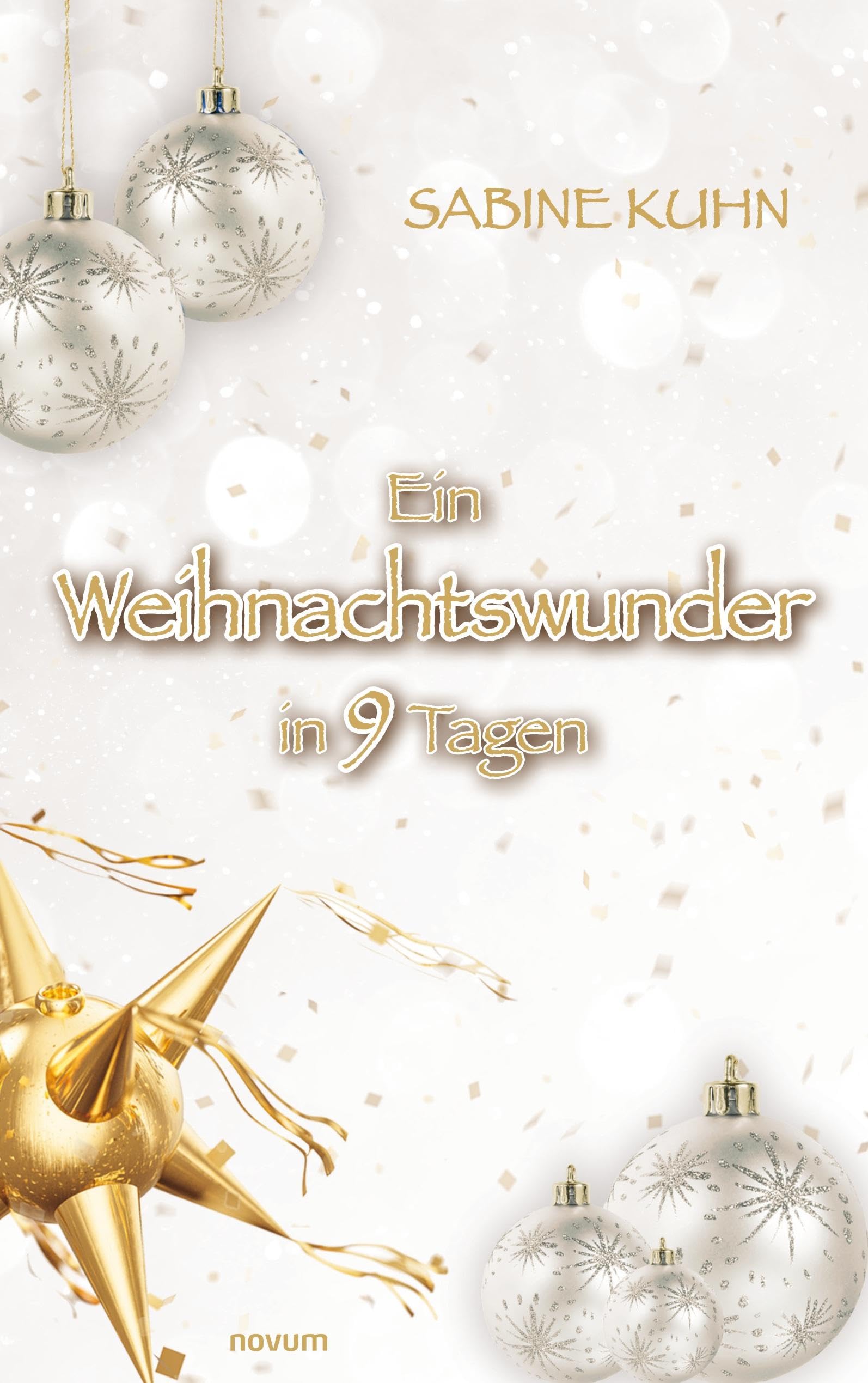 Ein Weihnachtswunder in 9 Tagen book