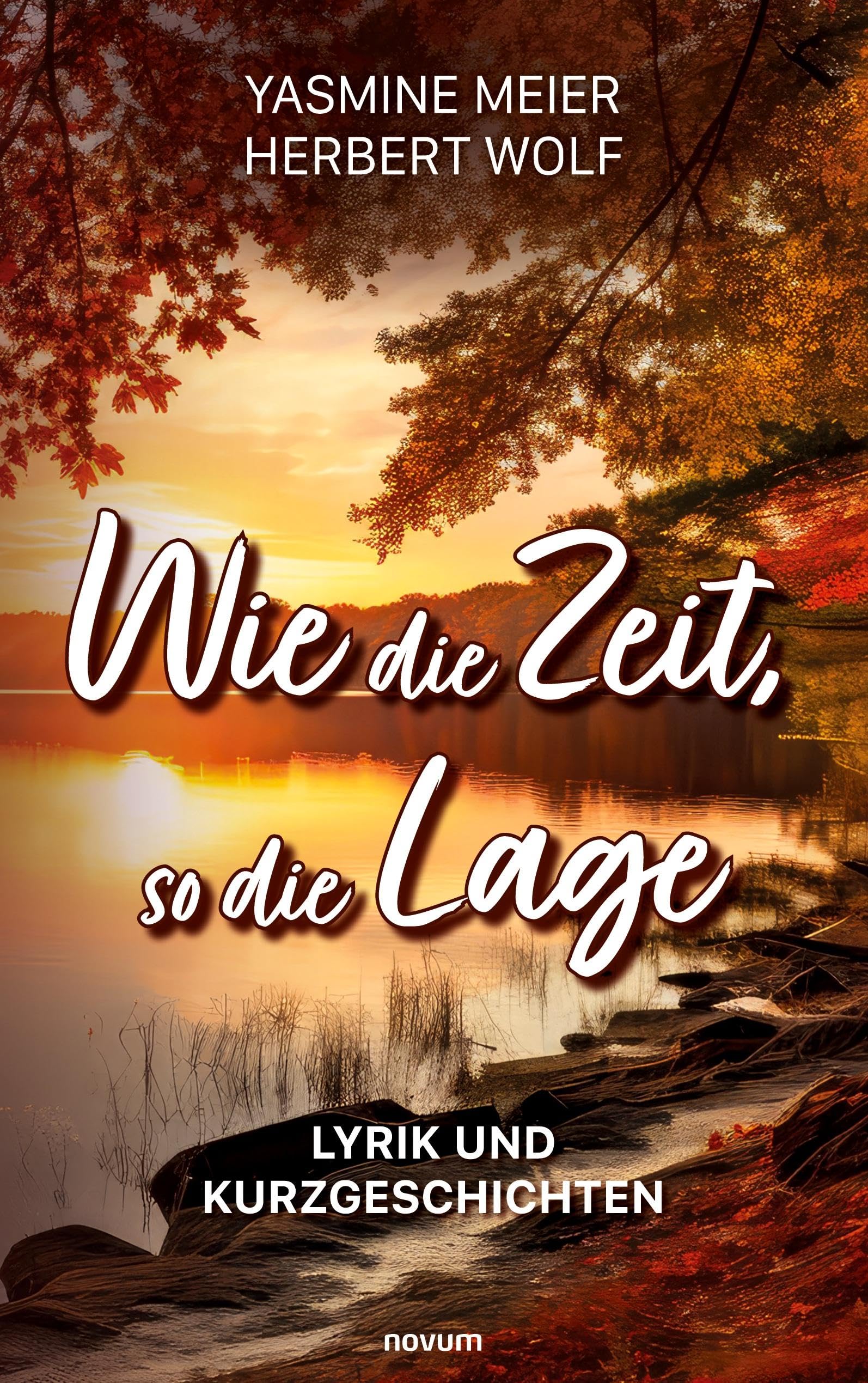 Wie die Zeit, so die Lage book