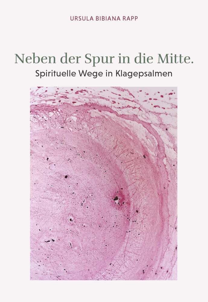 Neben der Spur in die Mitte: Spirituelle Wege in Klagepsalmen Religion & Esotericism