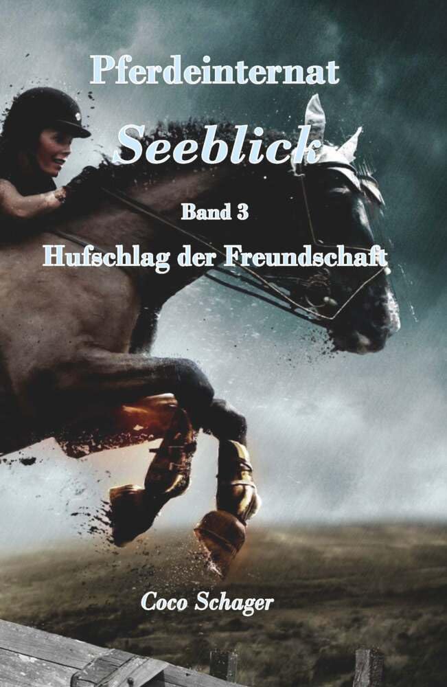 Pferdeinternat Seeblick Band 3: Hufschlag der Freundschaft Health, Nutrition & Fitness