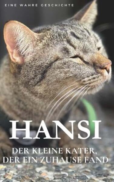 Hansi. Der kleine Kater, der ein Zuhause fand. Memories