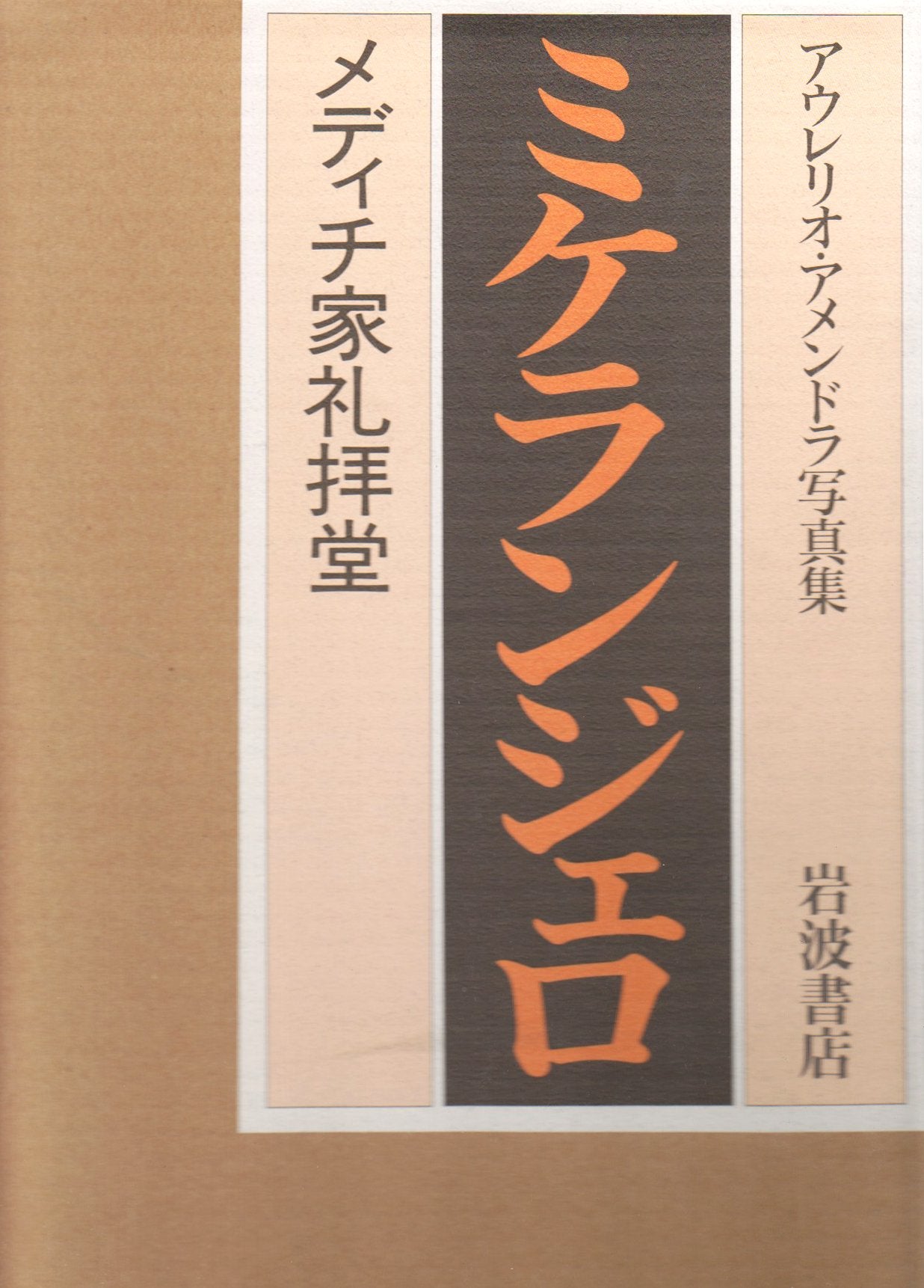 アウレリオ・アメンドラ写真集 ミケランジェロ-メディチ家礼拝堂 Books