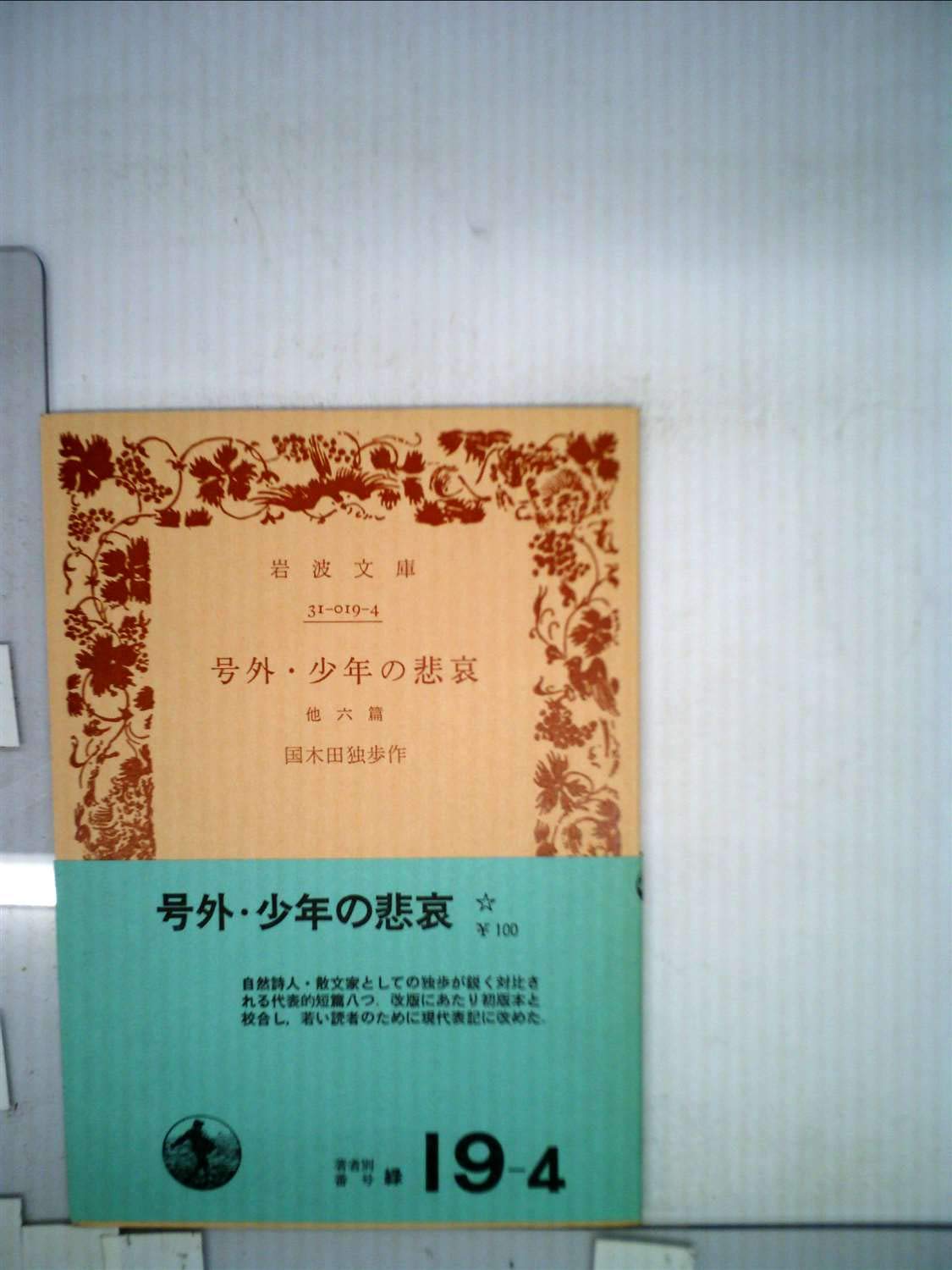 号外/少年の悲哀―他六篇 (岩波文庫 緑 19-4) book