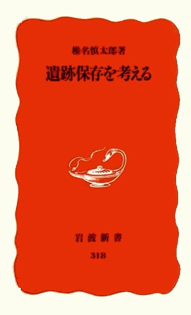 遺跡保存を考える (岩波新書) Books