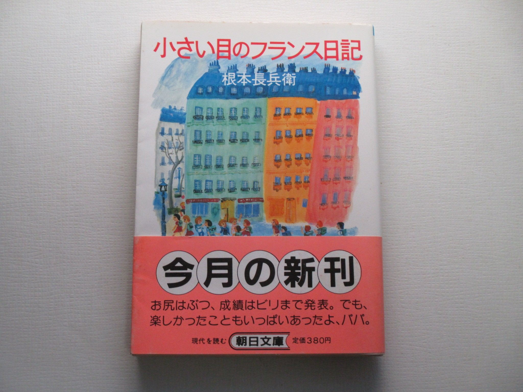 小さい目のフランス日記 (朝日文庫) Books
