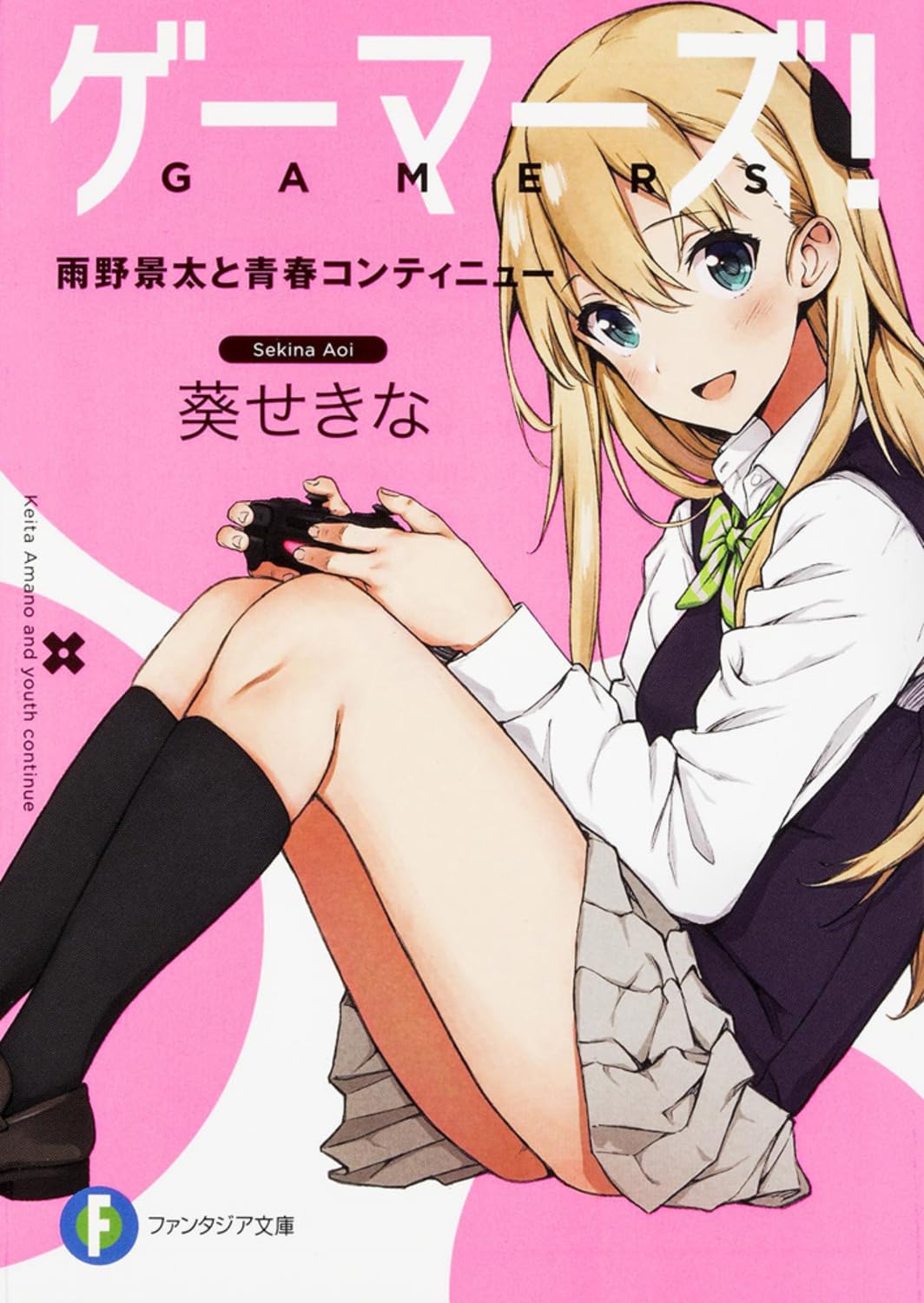 ゲーマーズ! 雨野景太と青春コンティニュー (富士見ファンタジア文庫) book