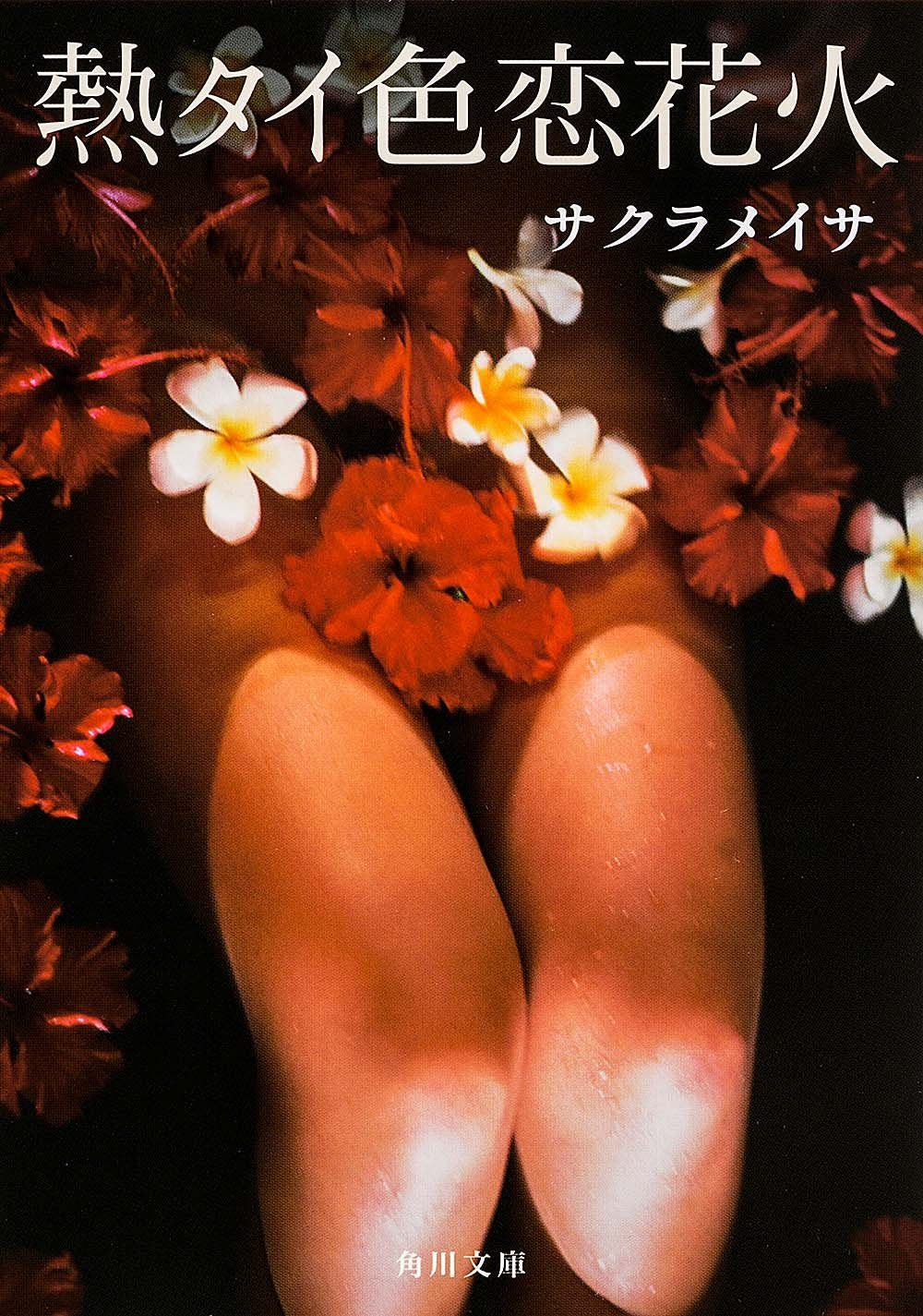 熱タイ色恋花火 (角川文庫) Books
