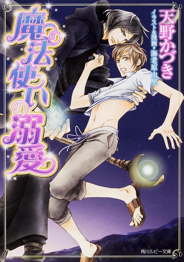 魔法使いの溺愛 (角川ルビー文庫) Books