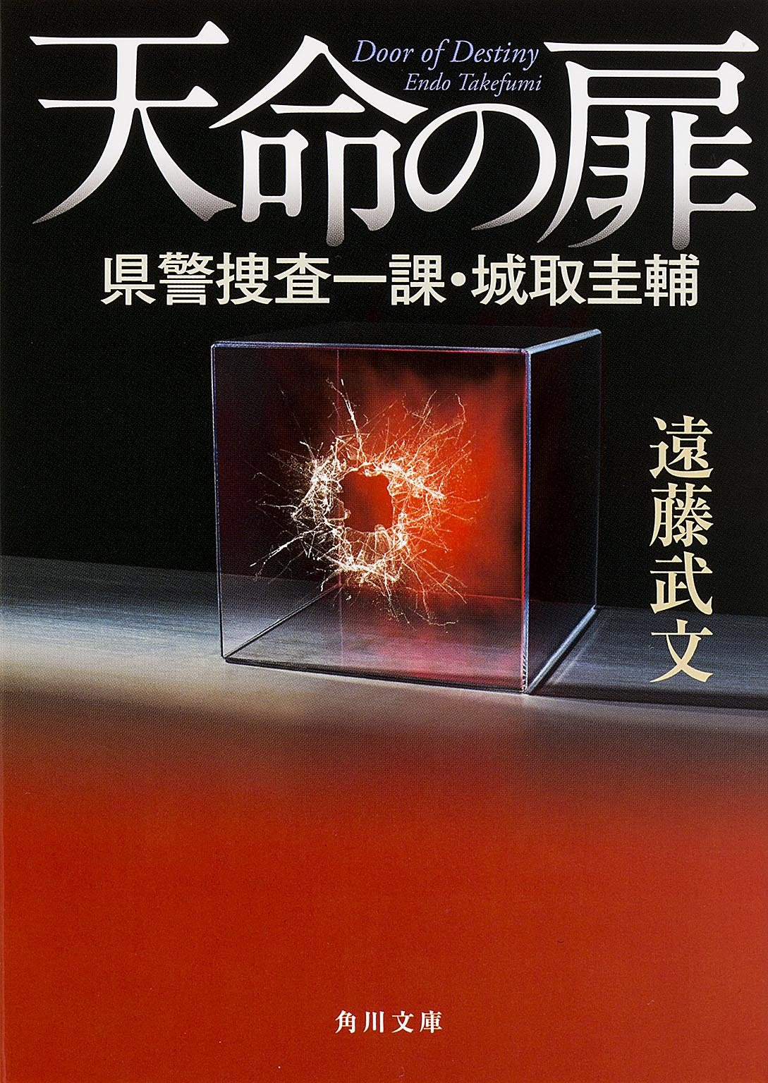 天命の扉 県警捜査一課・城取圭輔 (角川文庫) Books