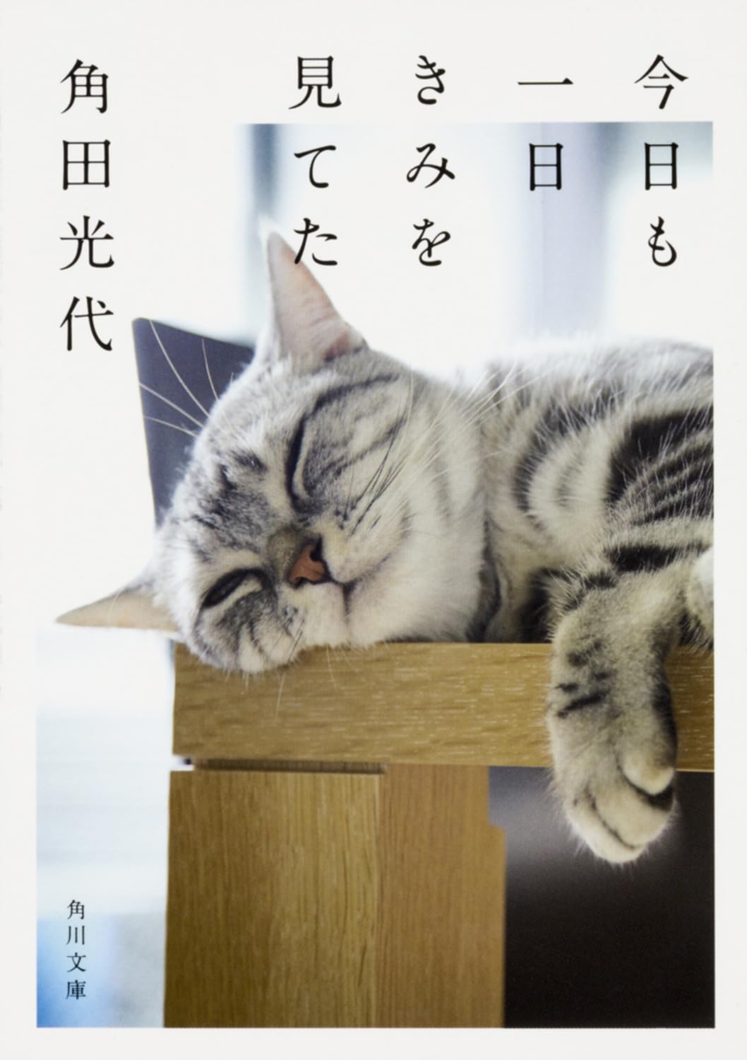 今日も一日きみを見てた (角川文庫) Books