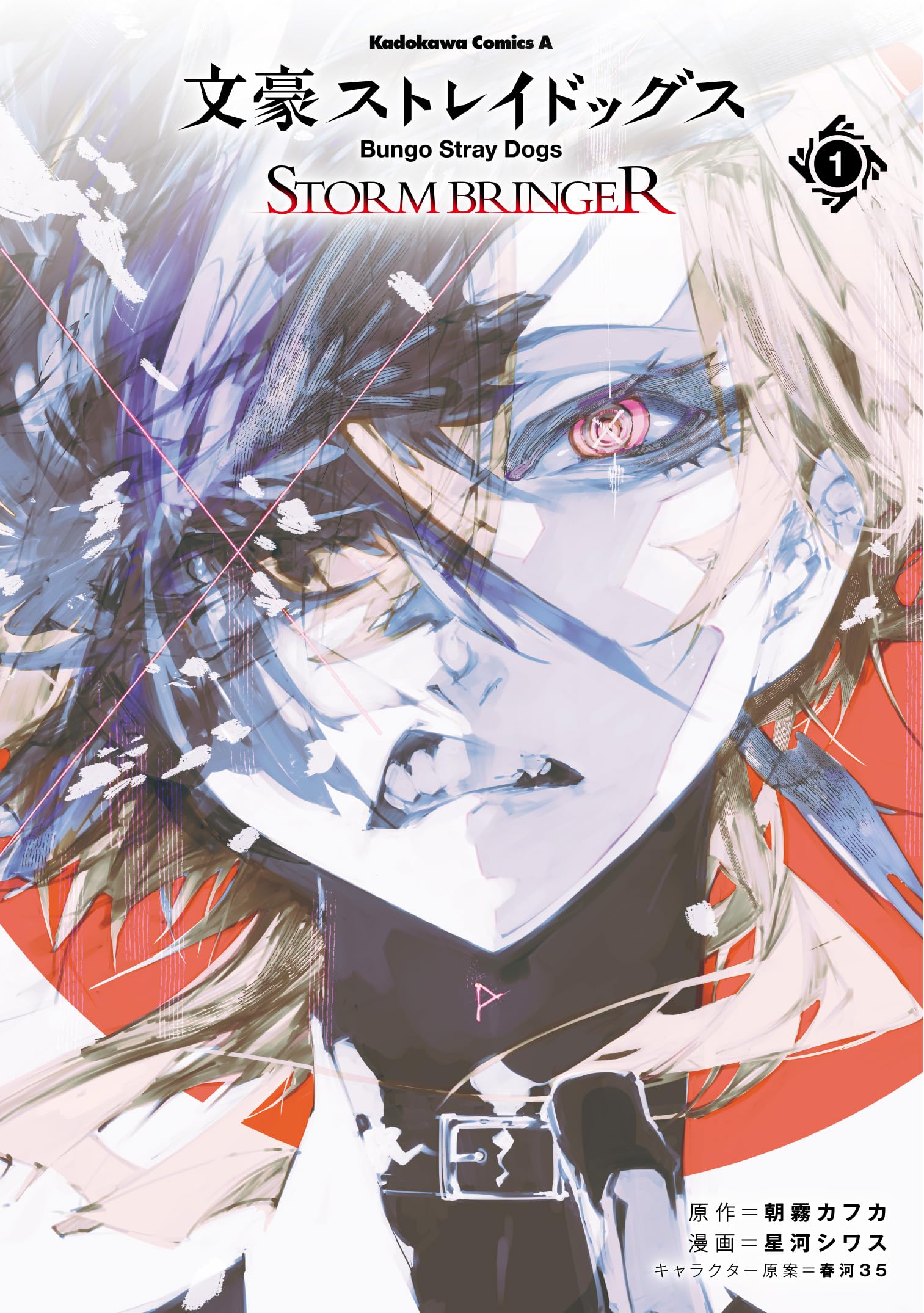 文豪ストレイドッグス ＳＴＯＲＭ ＢＲＩＮＧＥＲ（１） book
