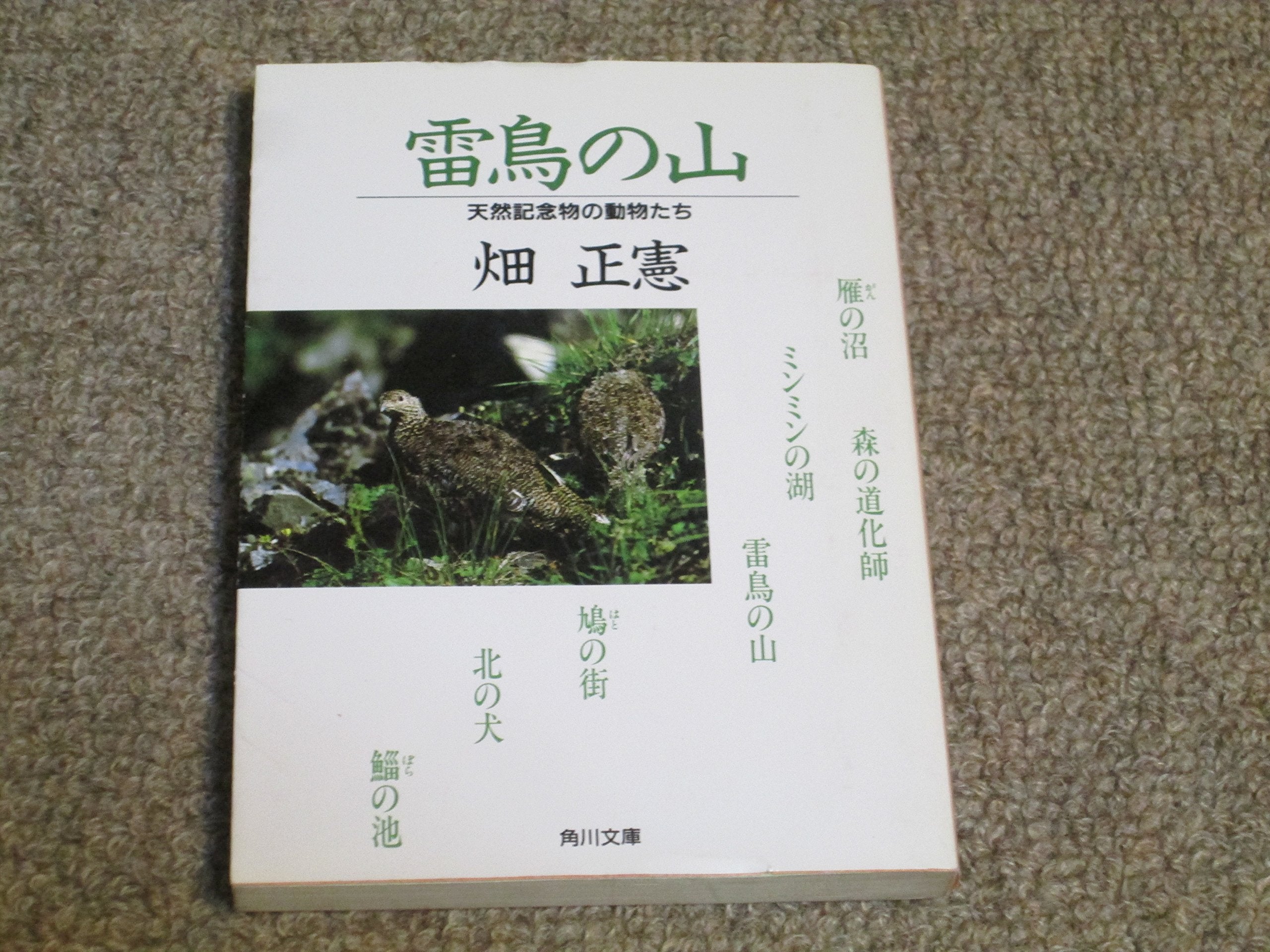 雷鳥の山―天然記念物の動物たち (角川文庫) Books