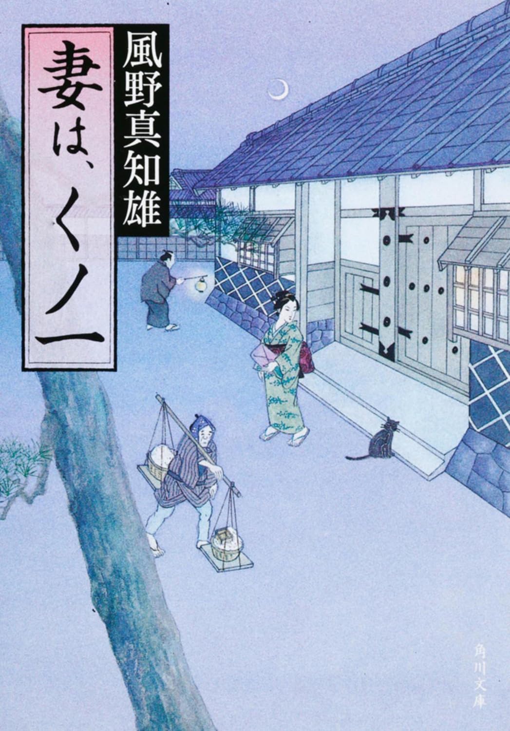 妻は、くノ一 (角川文庫) Books