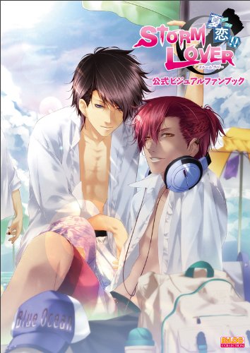 STORM LOVER 夏恋!! 公式ビジュアルファンブック (B's-LOG COLLECTION) book