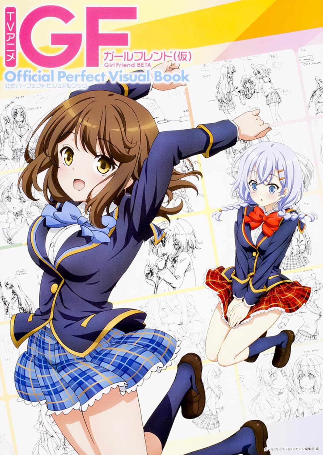 Terebi anime gaÌ„rufurendo kakkokari koÌ„shiki paÌ„fekuto bijuaru bukku book