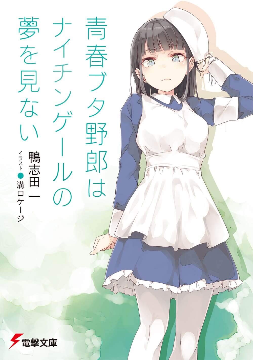 青春ブタ野郎はナイチンゲールの夢を見ない (電撃文庫) book