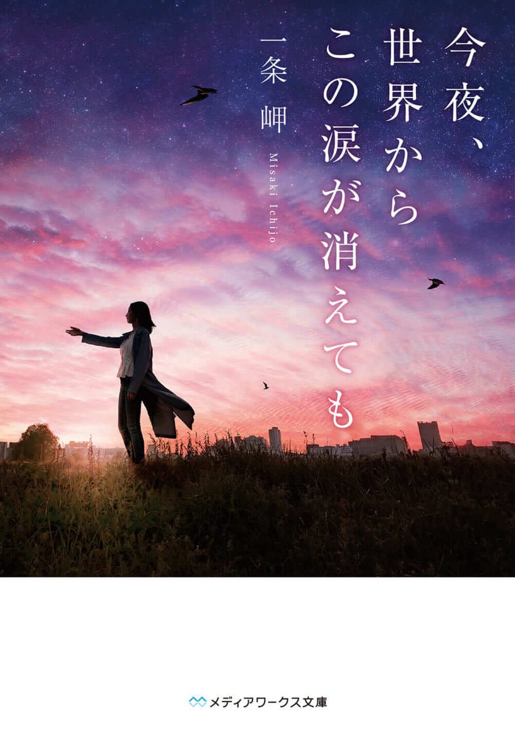 今夜、世界からこの涙が消えても (メディアワークス文庫) Books