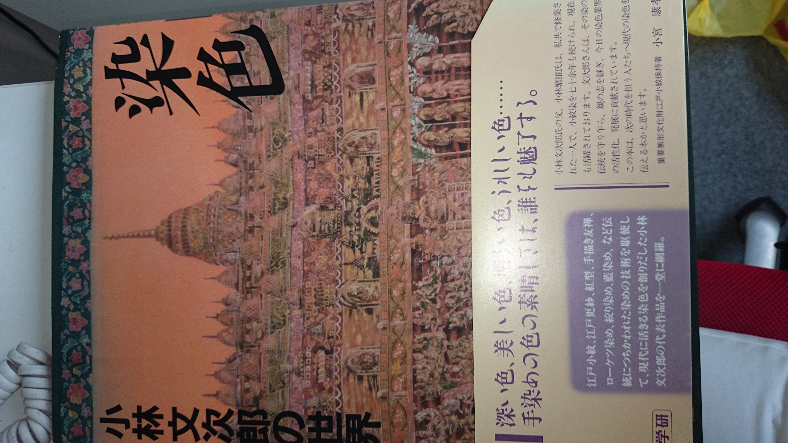 染色―小林文次郎の世界 book