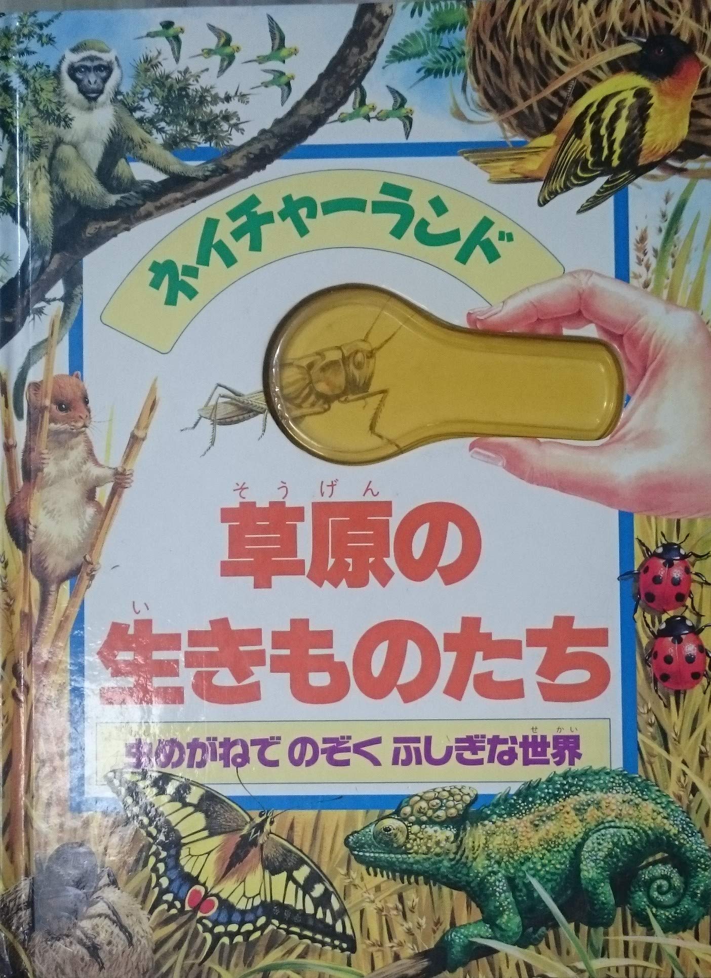 草原の生きものたち (ネイチャーランド) Books