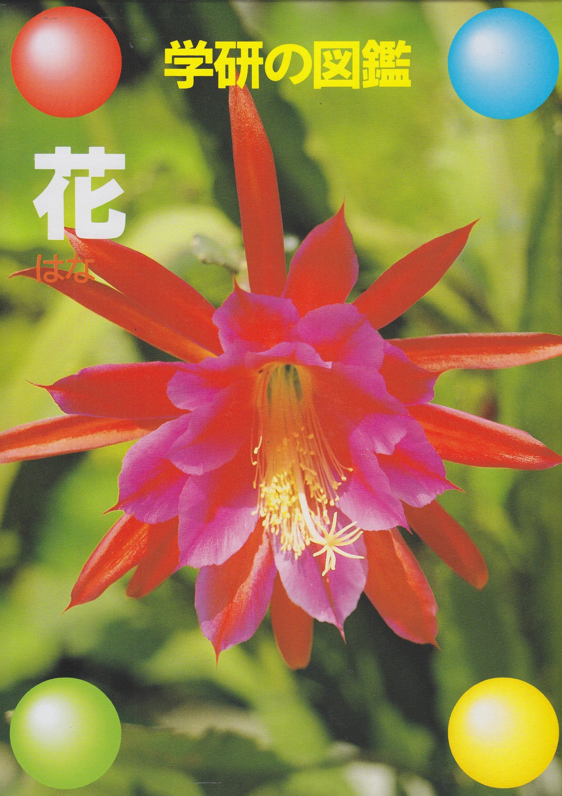 Product Image: 花 (学研の図鑑)