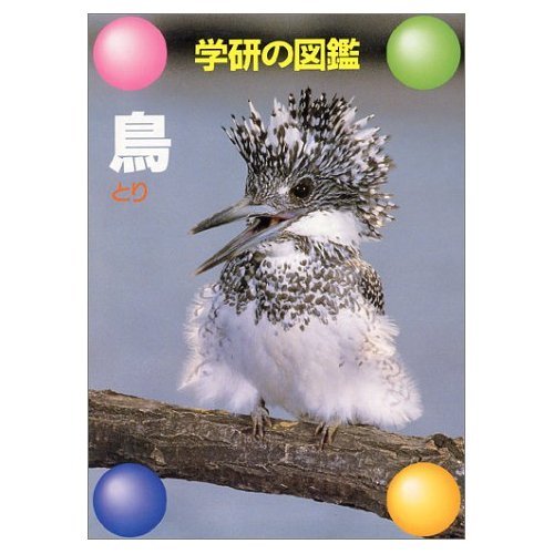 Product Image: 鳥 (学研の図鑑)