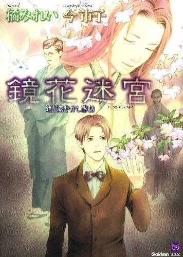 鏡花あやかし秘帖 鏡花迷宮 (もえぎDX) Books