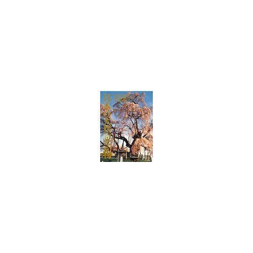 Nihon no tennen kinenbutsu =: Natural monuments of Japan (Japanese Edition) Books