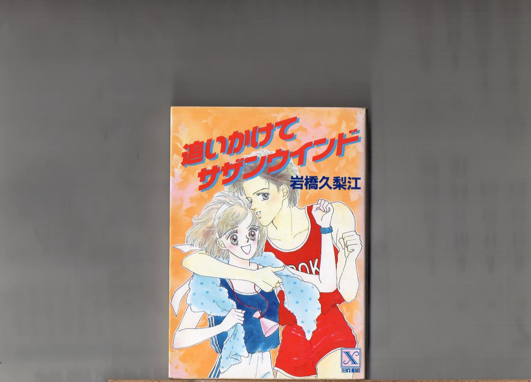 追いかけてサザンウインド (講談社X文庫―ティーンズハート) Books
