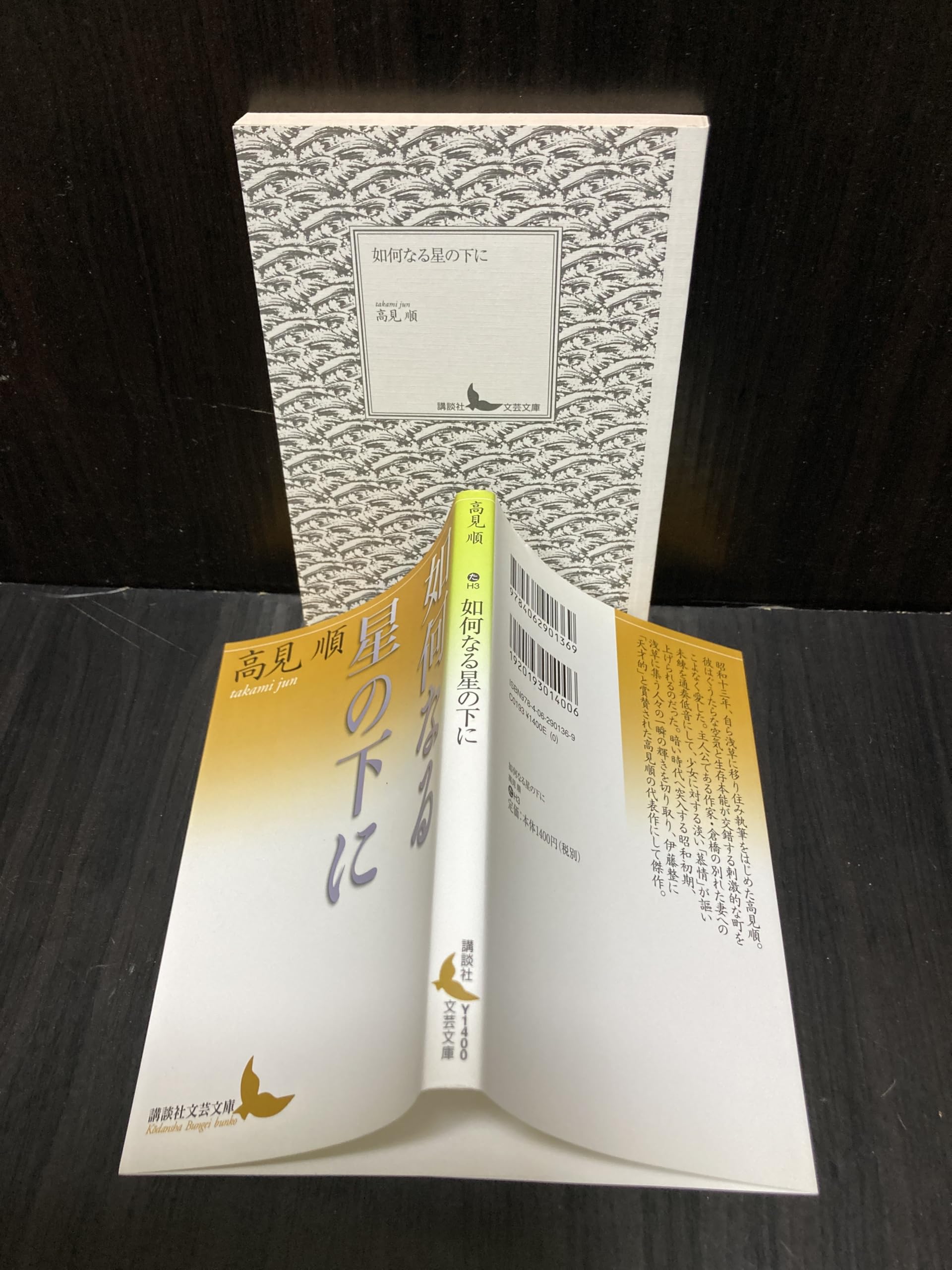如何なる星の下に (講談社文芸文庫) Books