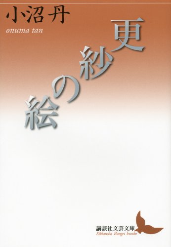 更紗の絵 (講談社文芸文庫) Books